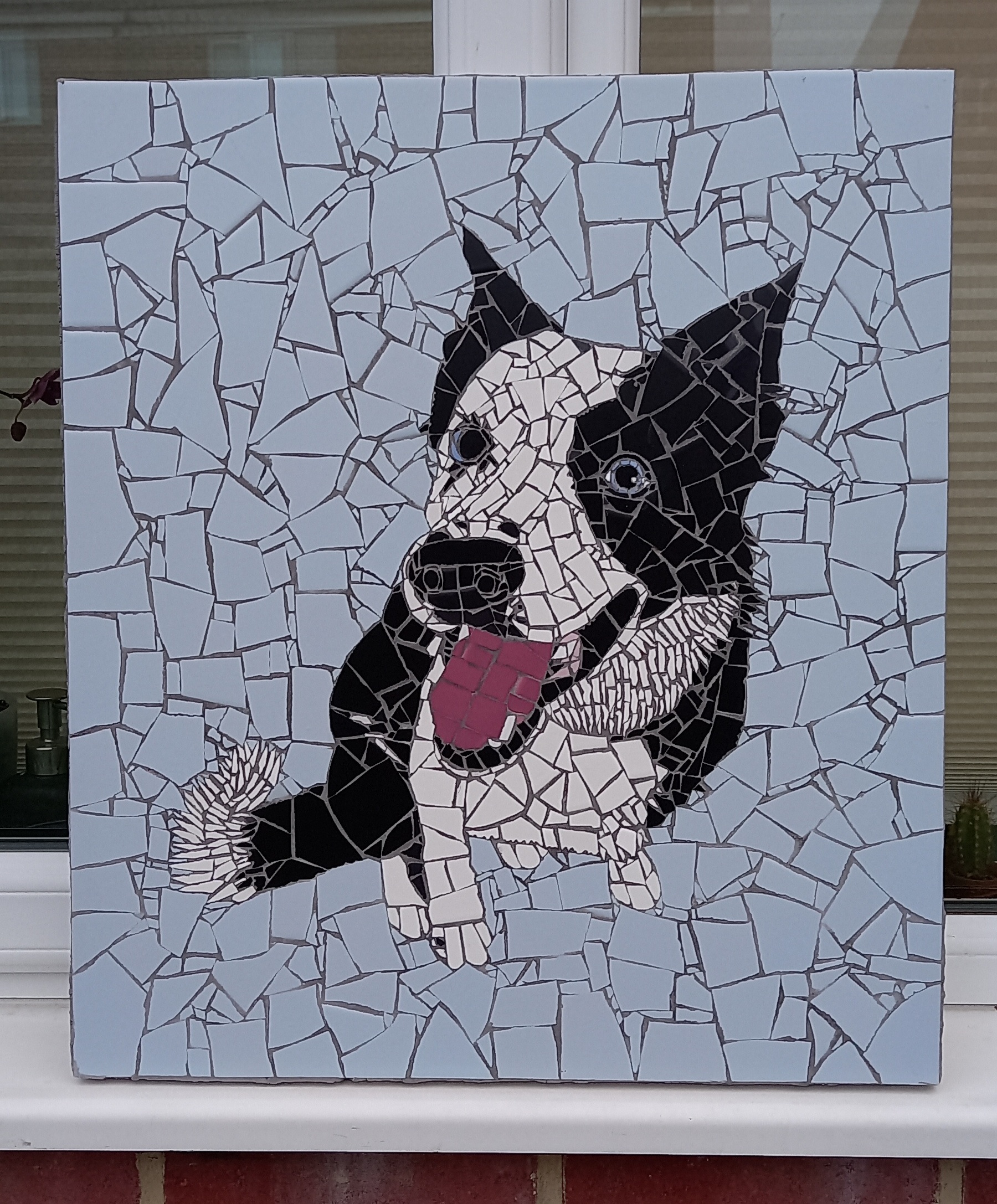Pet Portrait Mosaic