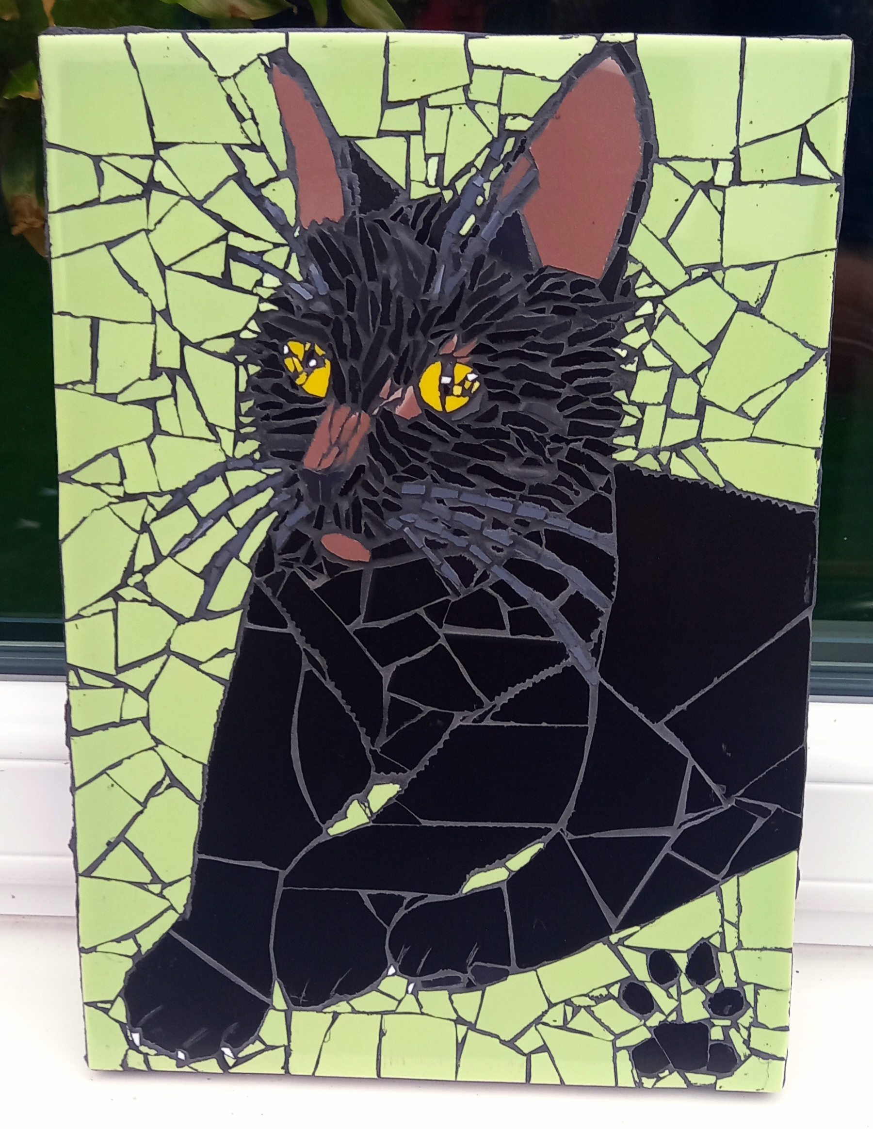 Pet Portrait Mosaic