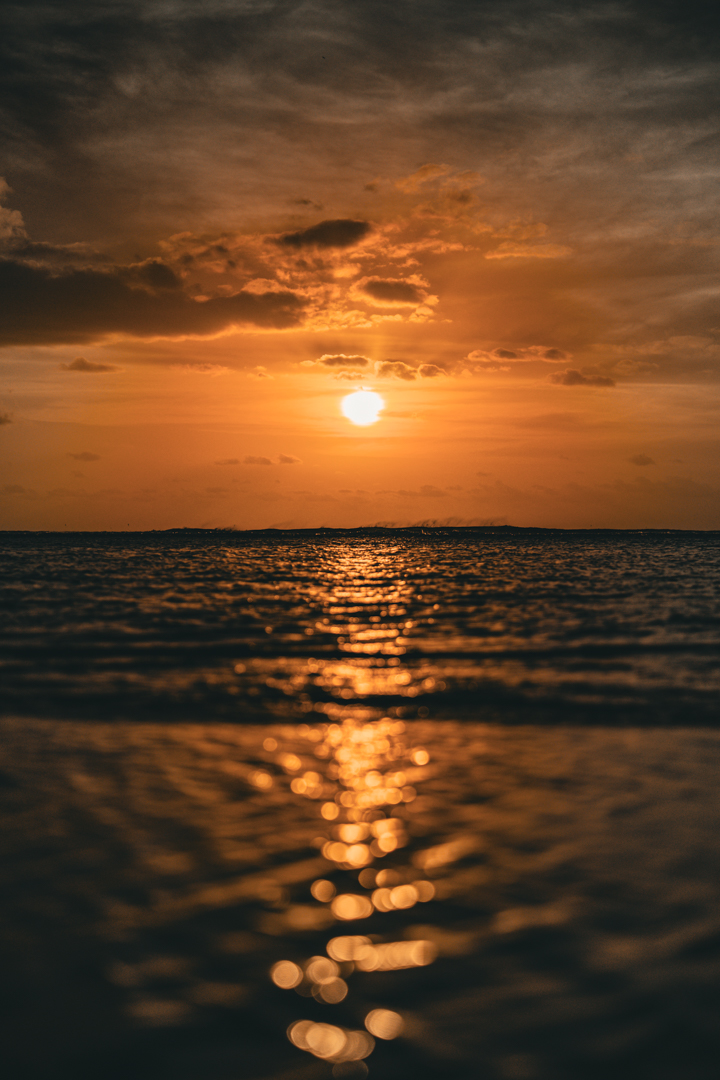 Photographie de coucher de soleil