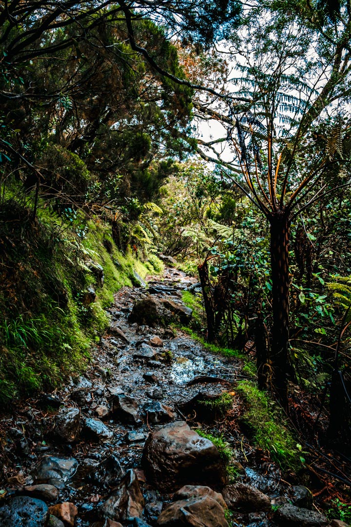 Sentier de randonnée