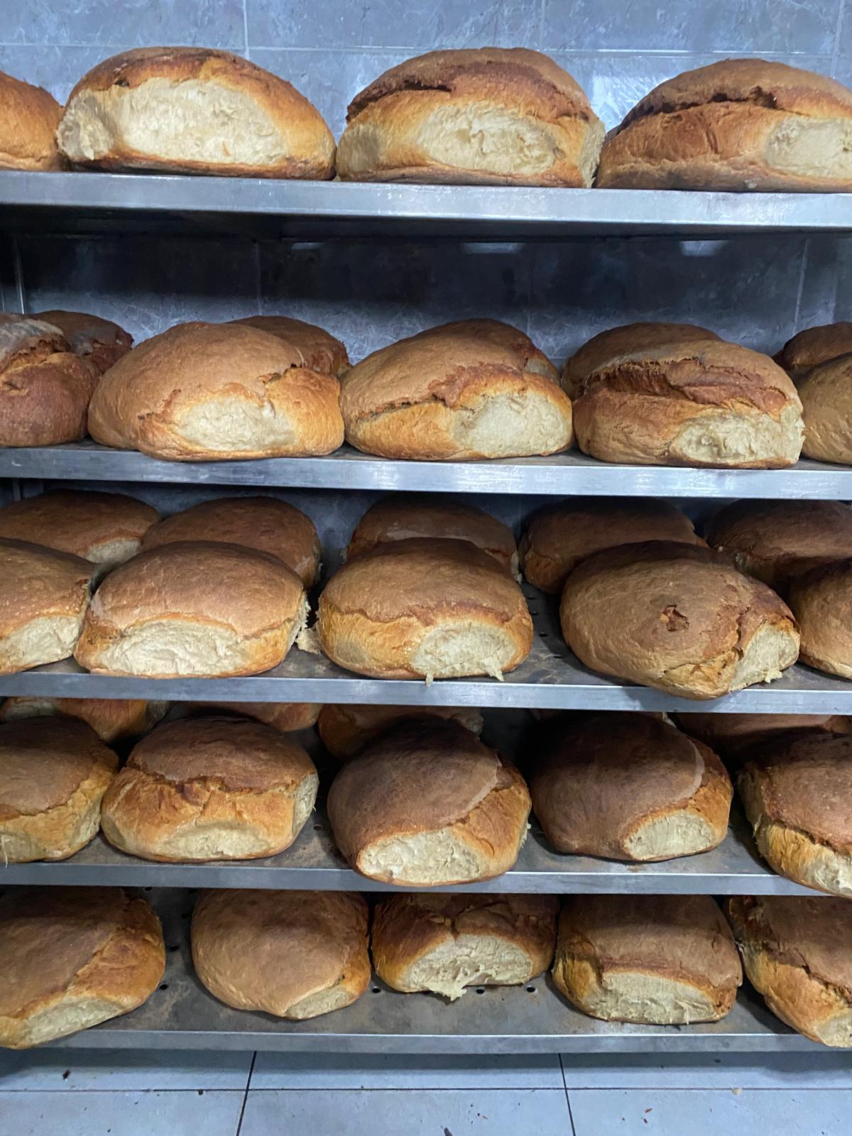 Asırlık Ekşi Maya Ekmeği