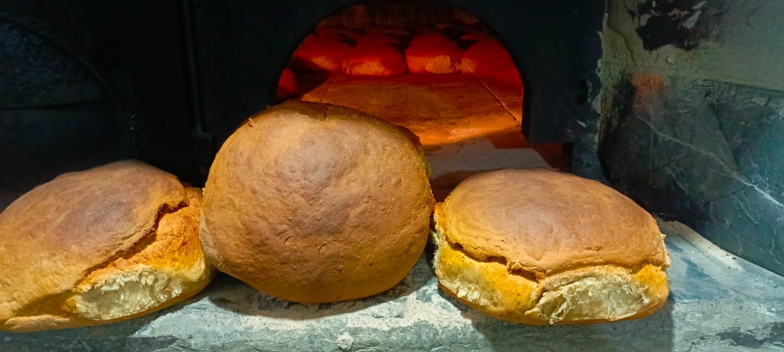 Asırlık Ekşi Maya Ekmeği