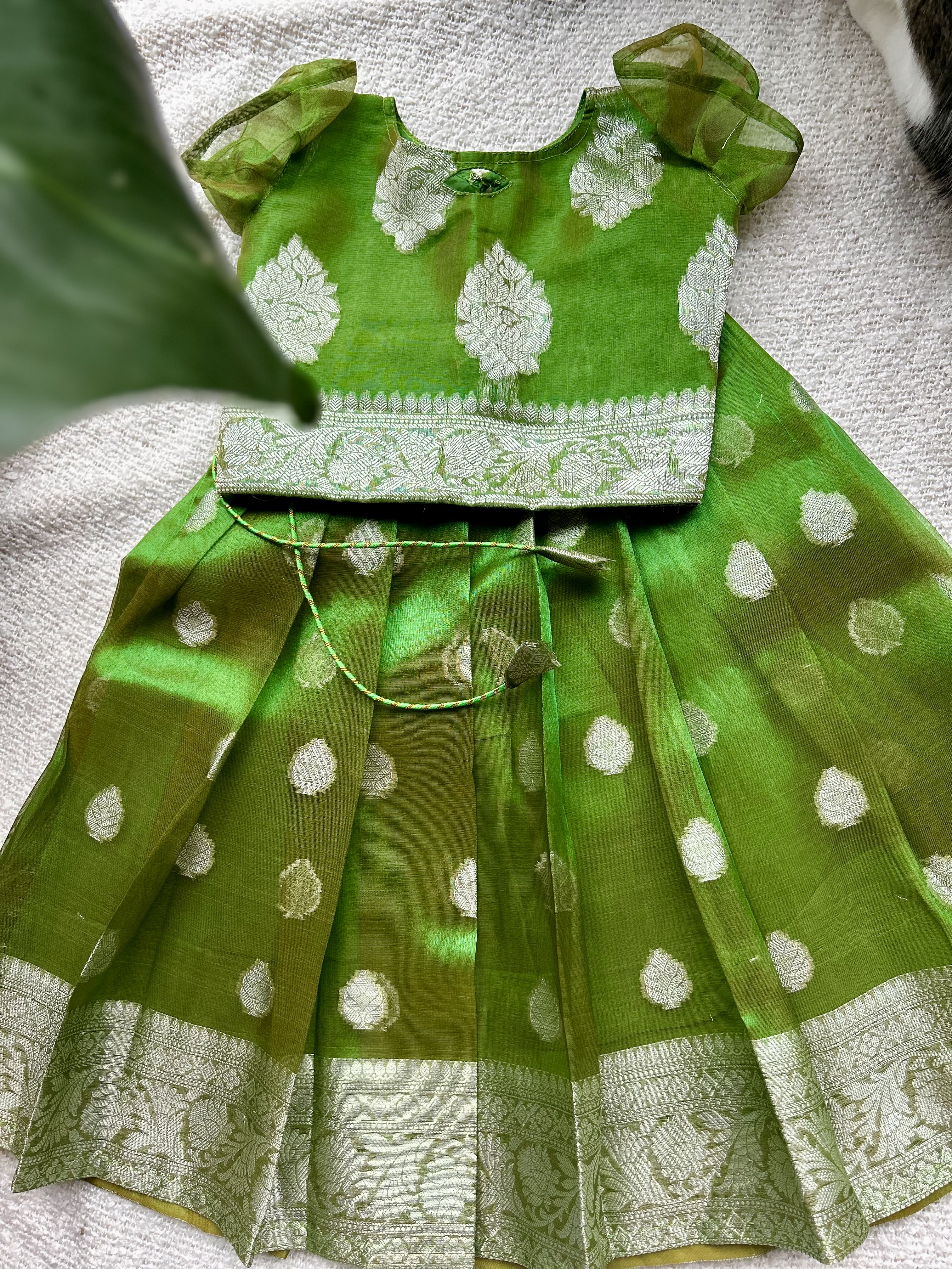 Green Organza Skirt and Blouse