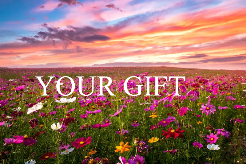 Your Gift to Gods Soldier