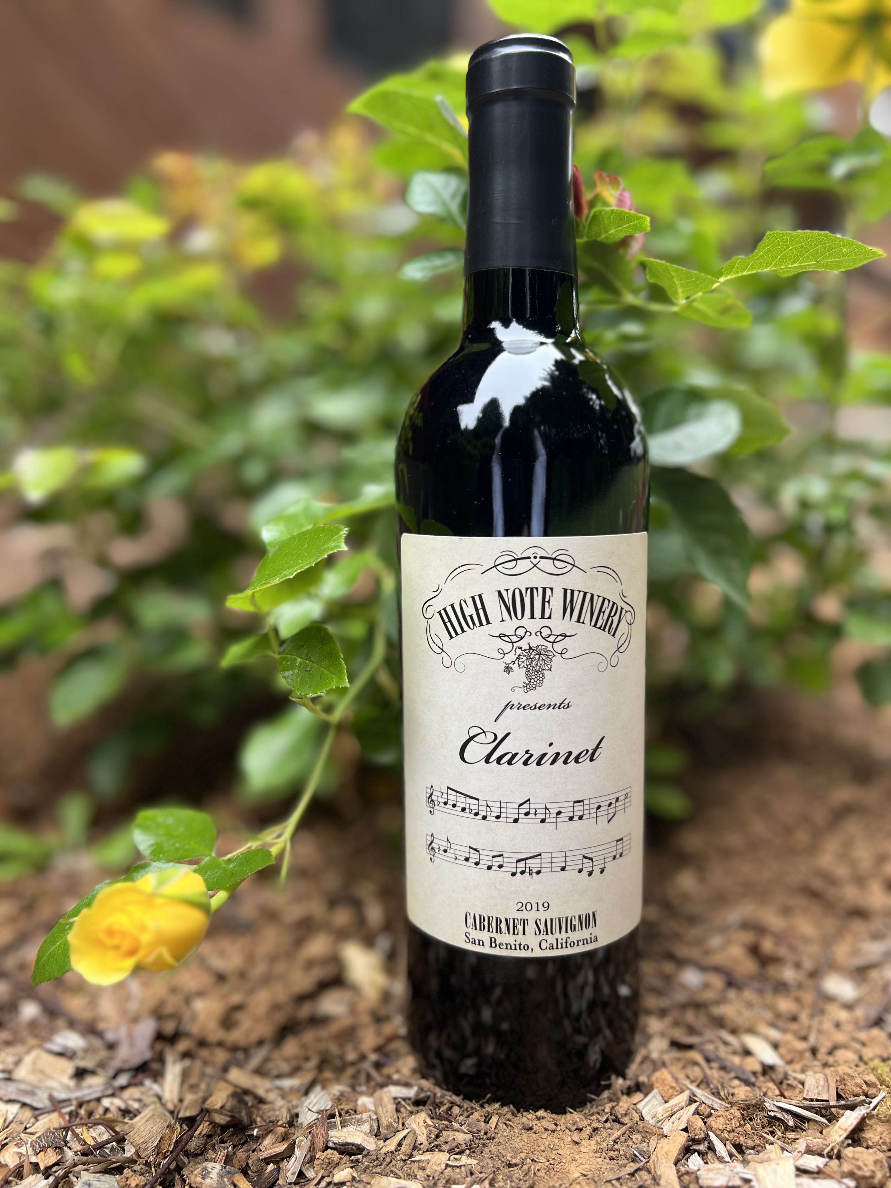 2019 Clarinet Cabernet Sauvignon