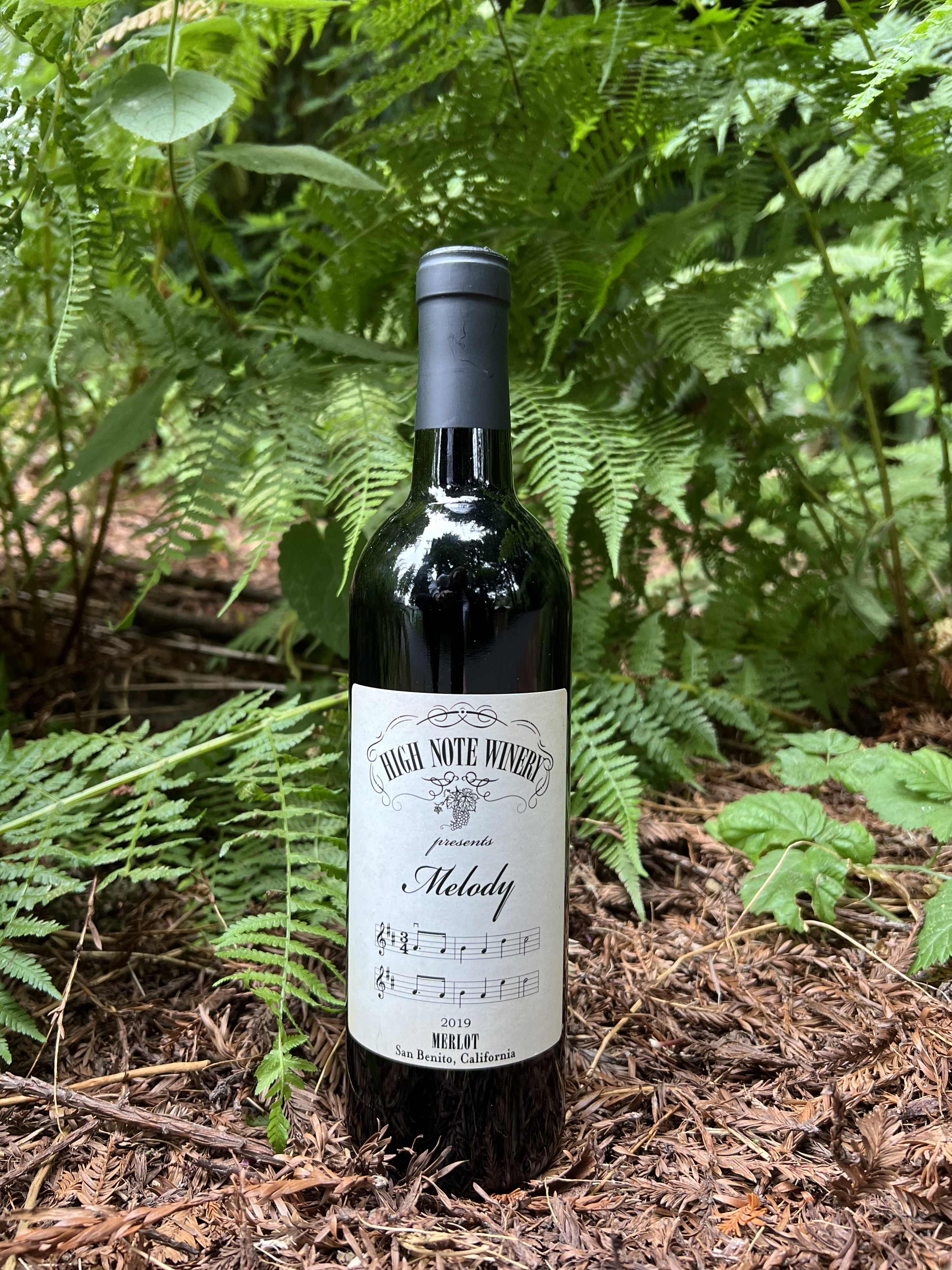 2019 Melody Merlot