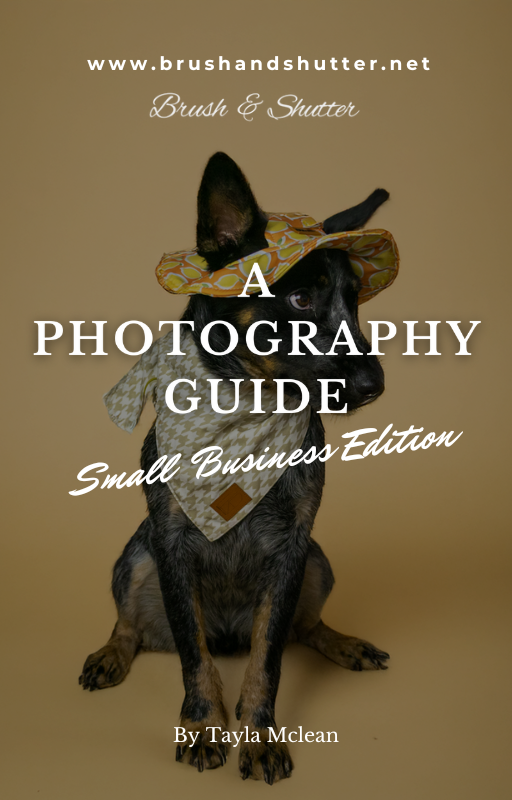 Photography mini Guide: Small business Edition
