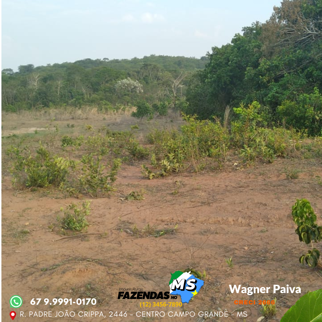 Fazenda em Sonora MS