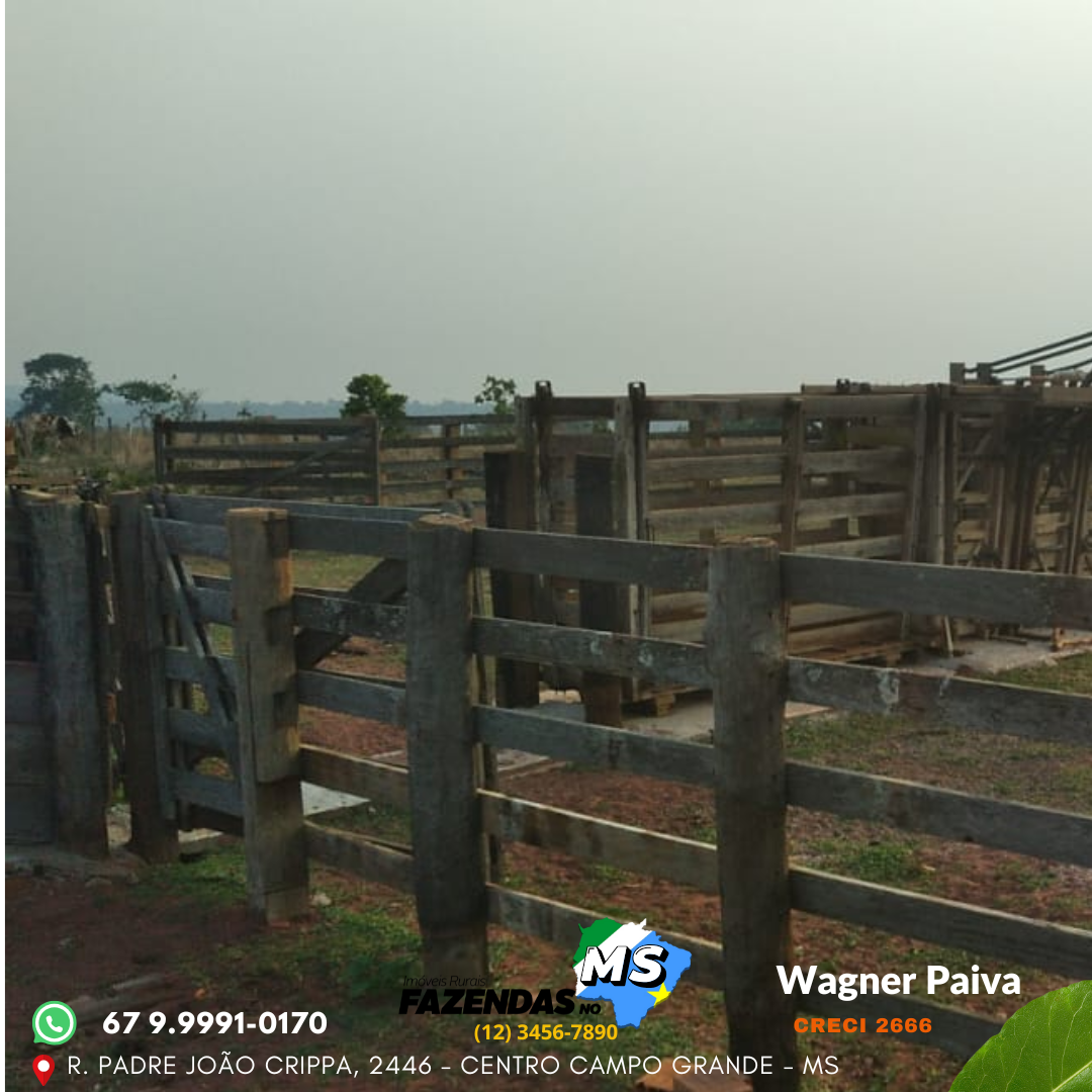 Fazenda em Sonora MS