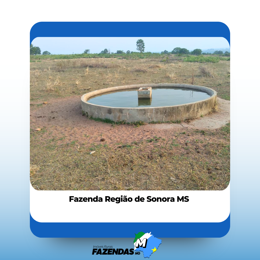 Fazenda em Sonora MS