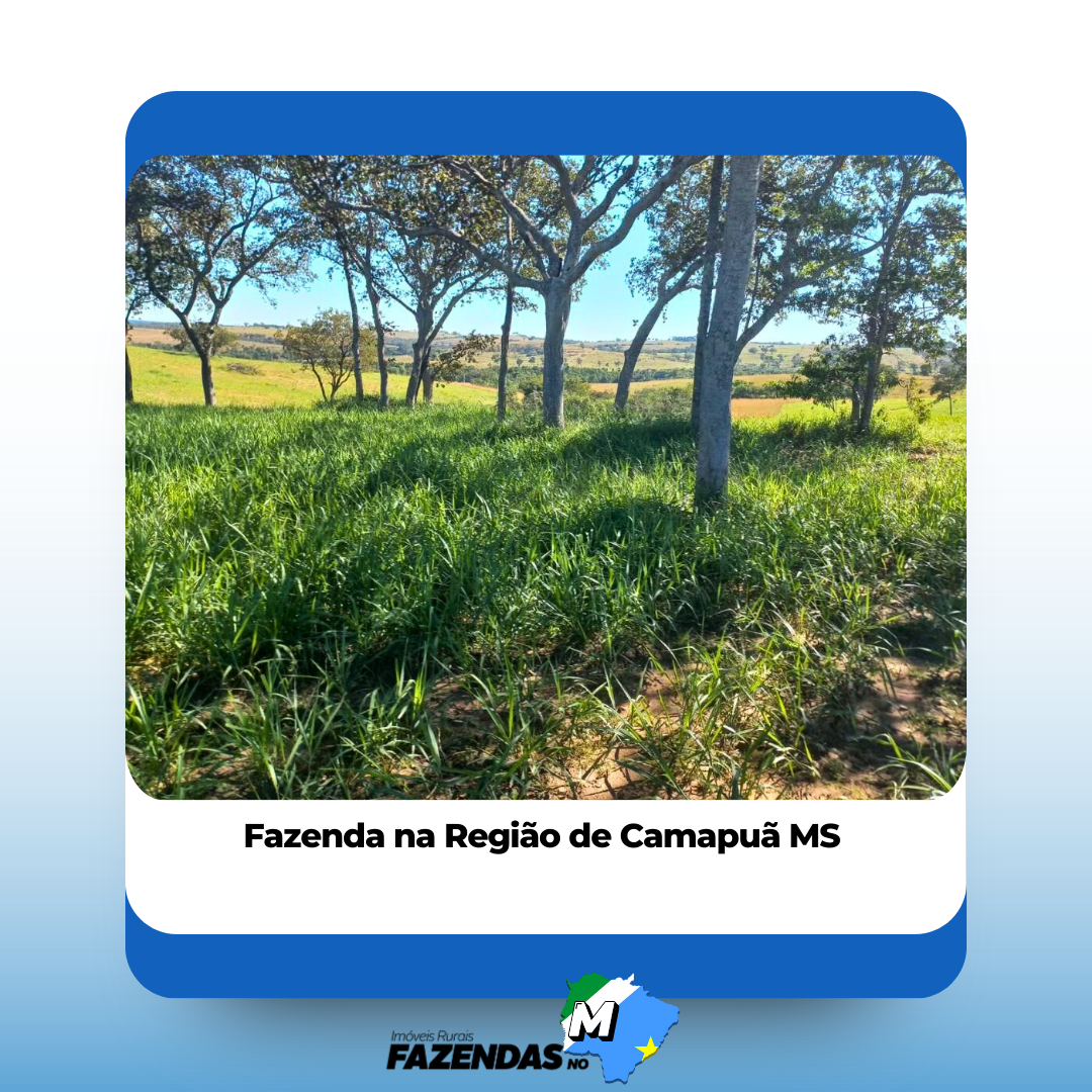 Fazenda na Região de Camapuã!