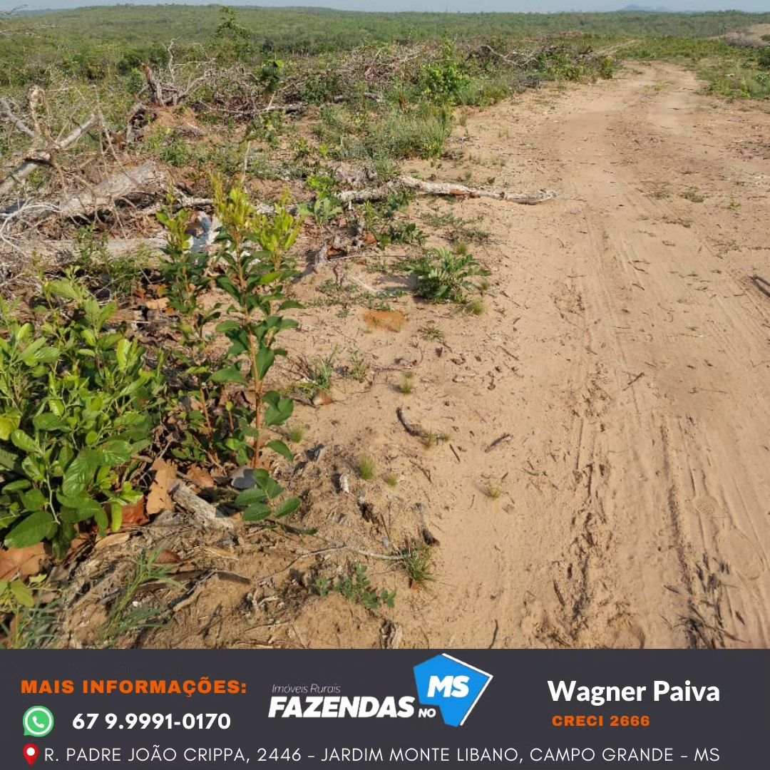 Fazenda na Região de Camapuã!