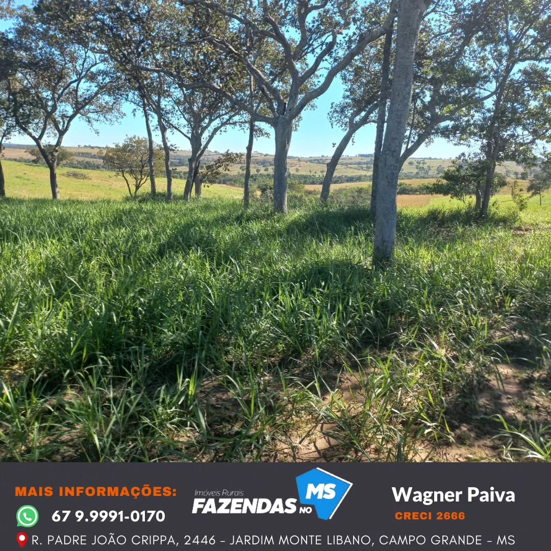 Fazenda na Região de Camapuã!