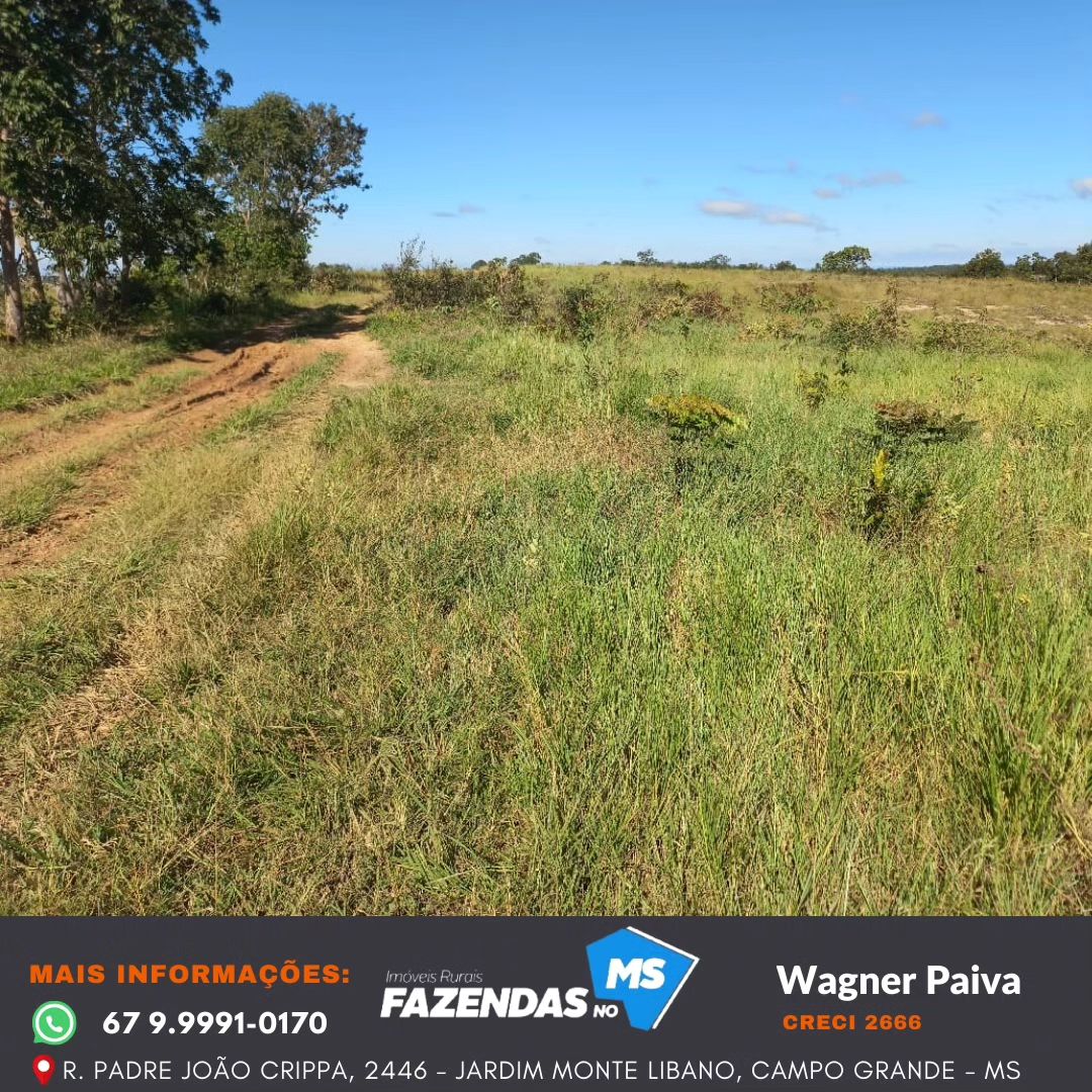 Fazenda na Região de Camapuã!