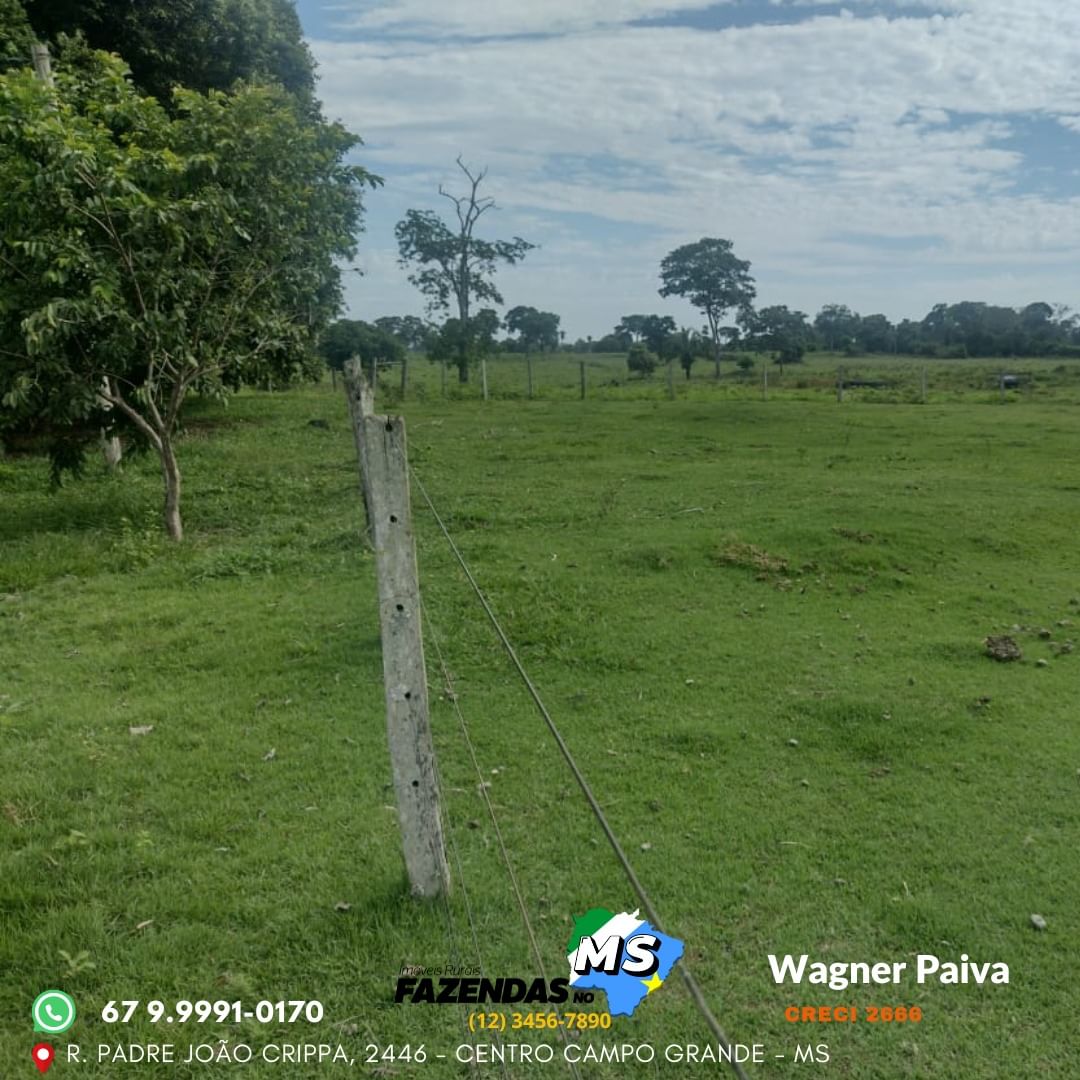  Fazenda Região de Aquidauana/MS