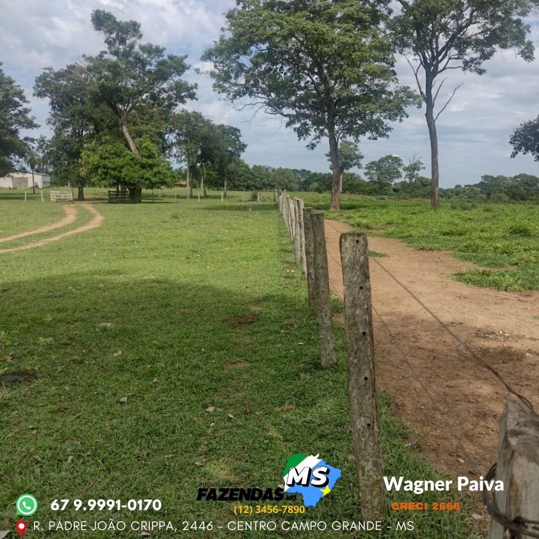  Fazenda Região de Aquidauana/MS