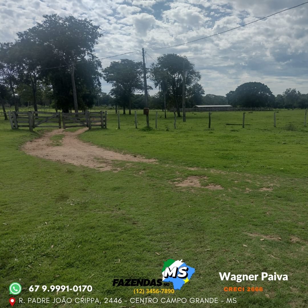  Fazenda Região de Aquidauana/MS