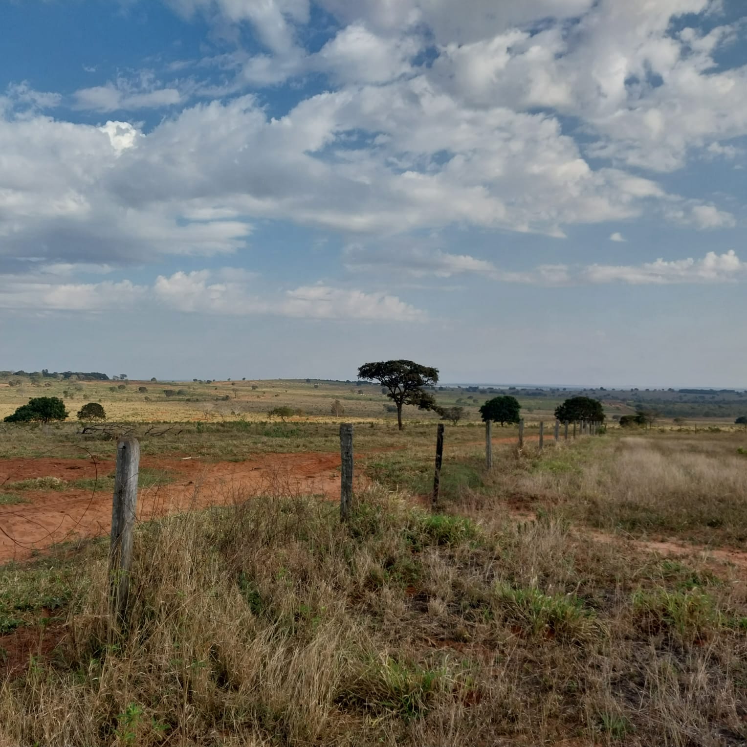 Fazenda Região Ribas do Rio Pardo