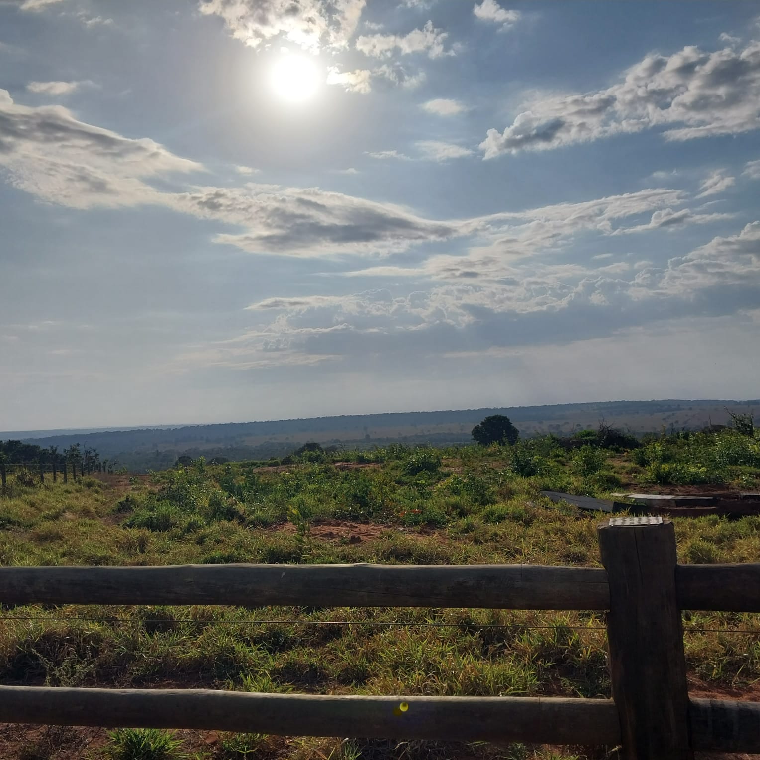 Fazenda Região Ribas do Rio Pardo