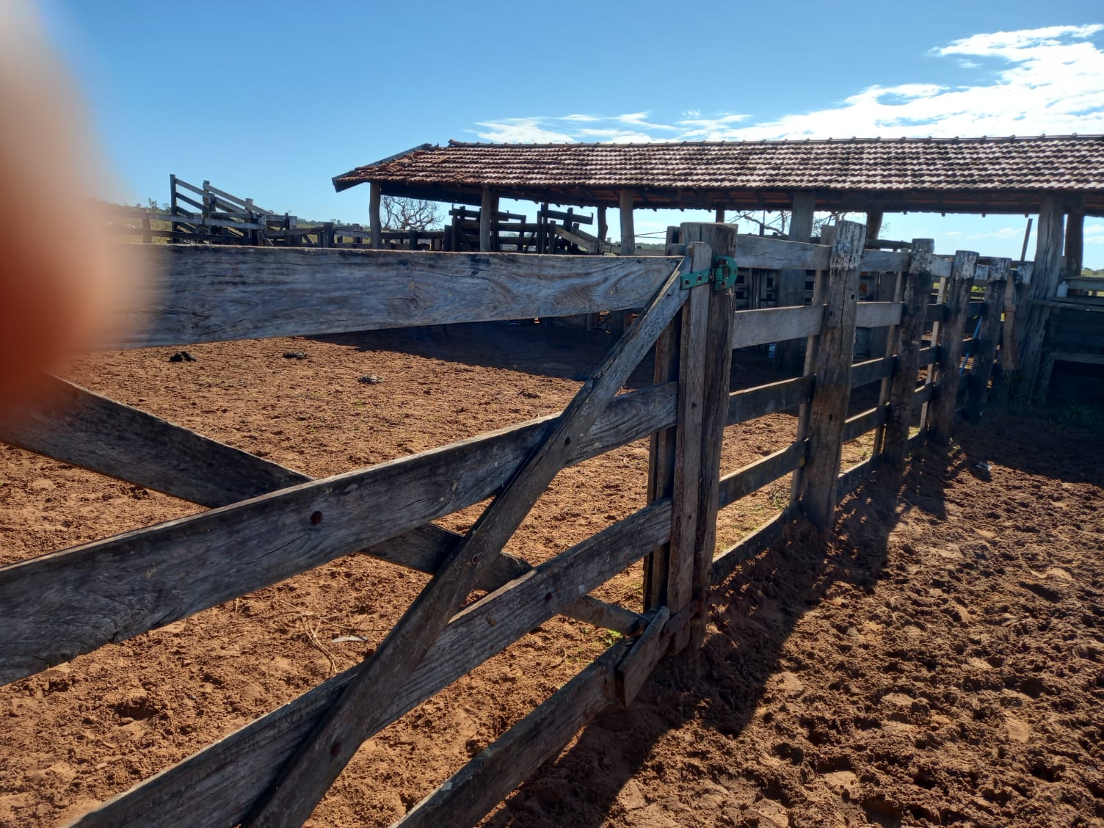 FAZENDA REGIÃO DE  ÁGUA CLARA