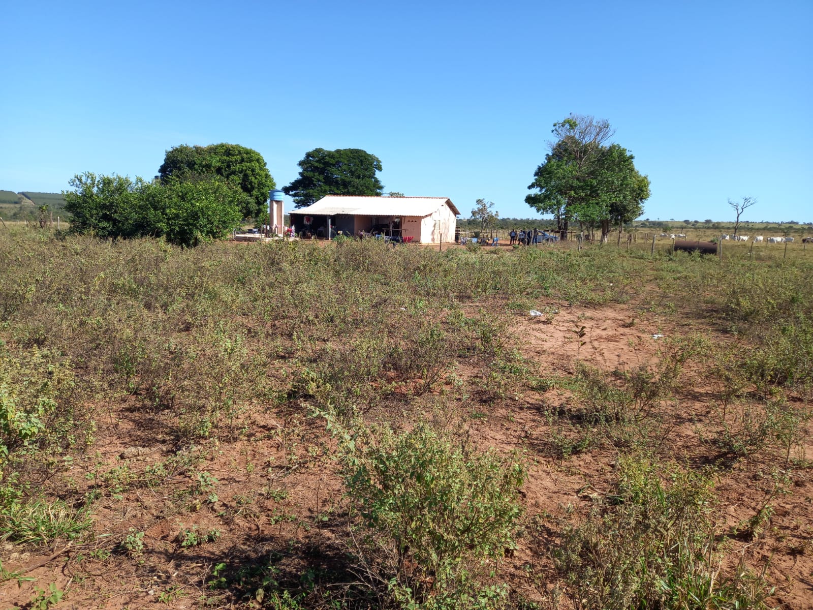 FAZENDA REGIÃO DE  ÁGUA CLARA