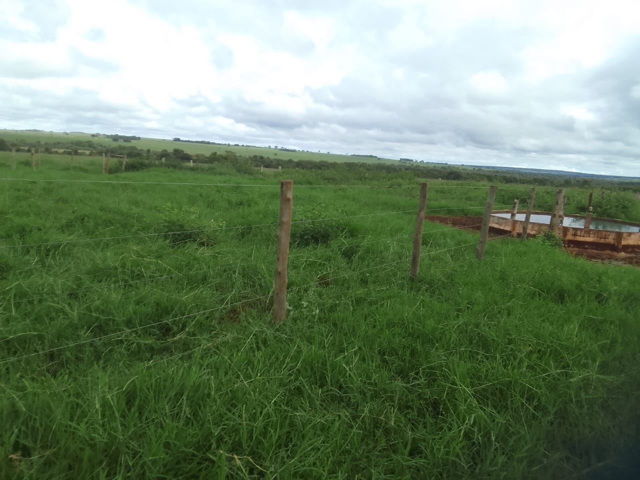 Fazenda Região Águas Claras/MS 