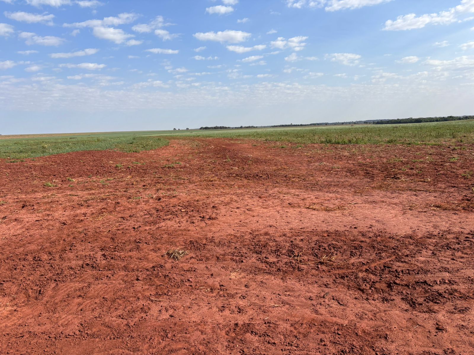 Fazenda Região – Anhanduí/MS 