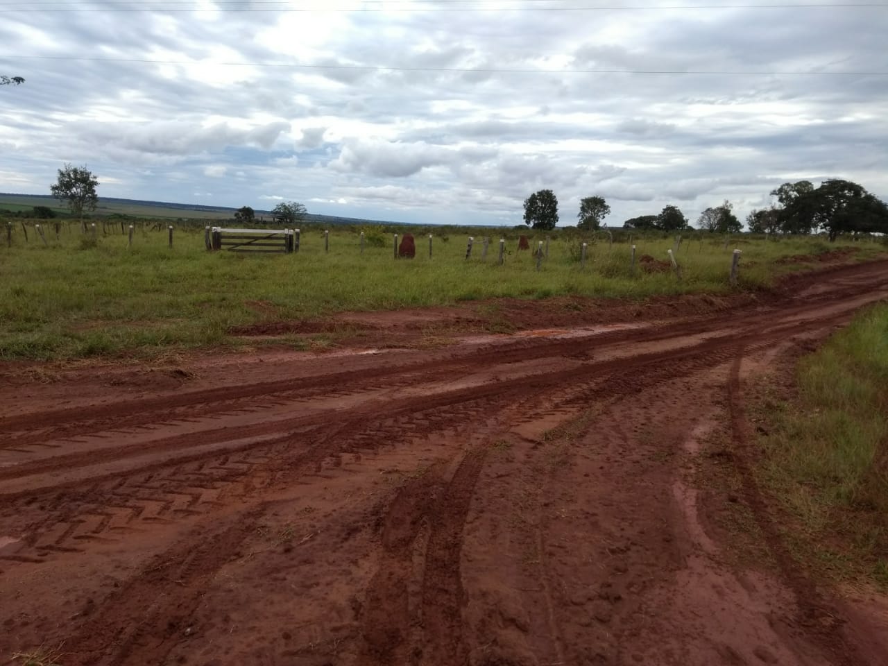 Fazenda Região Bandeirantes/MS