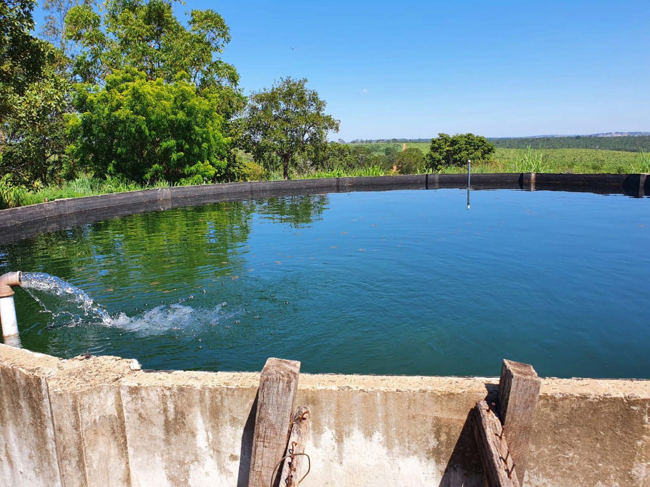 Fazenda Região Figueirão/MS 