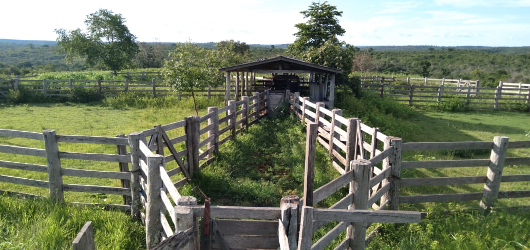 Fazenda Região Rio Negro/MS