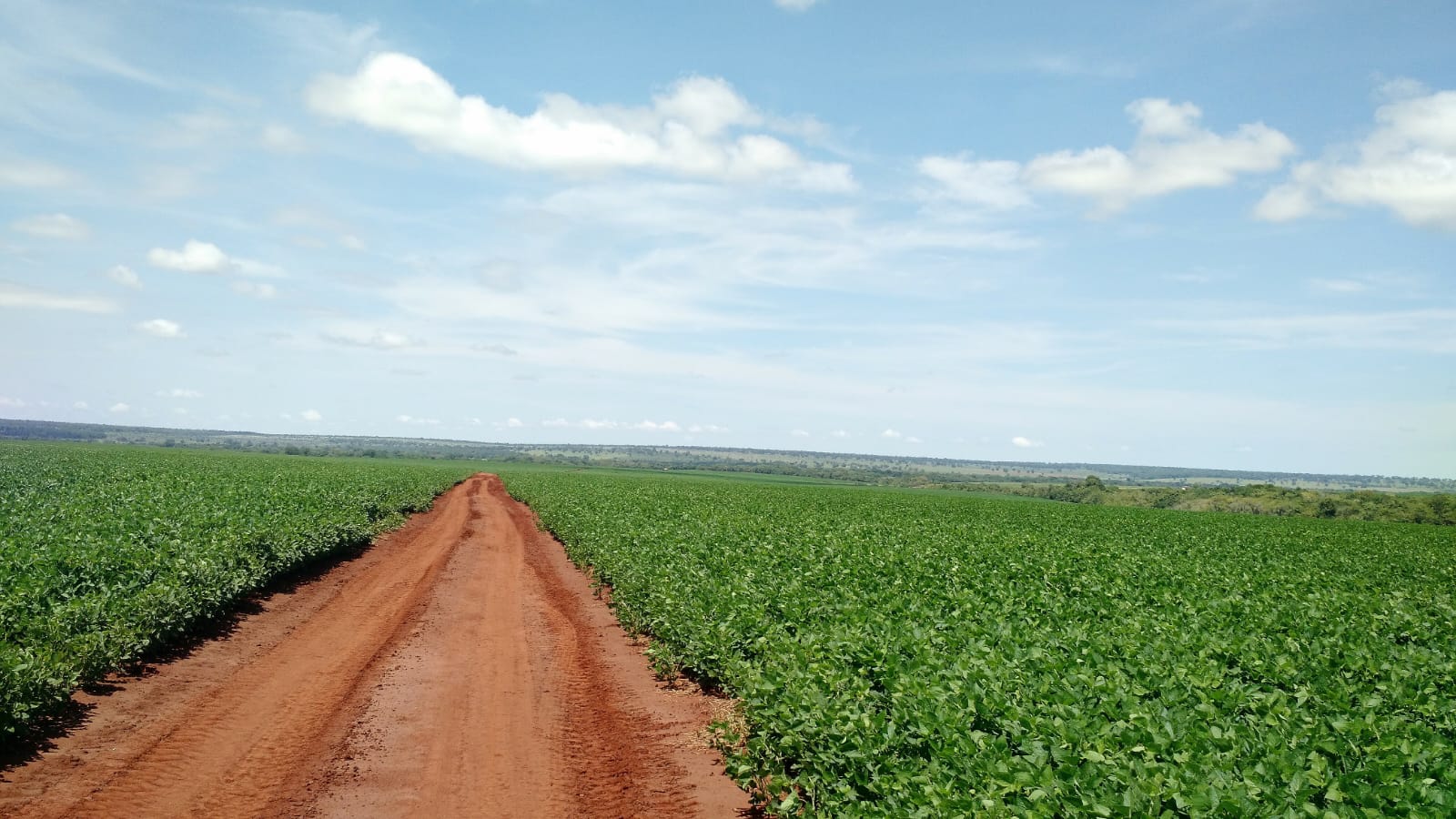 Fazenda Região Terenos/MS 