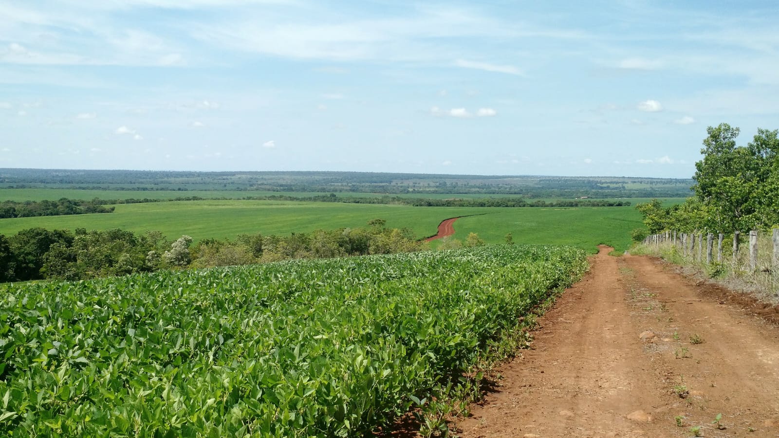 Fazenda Região Terenos/MS 
