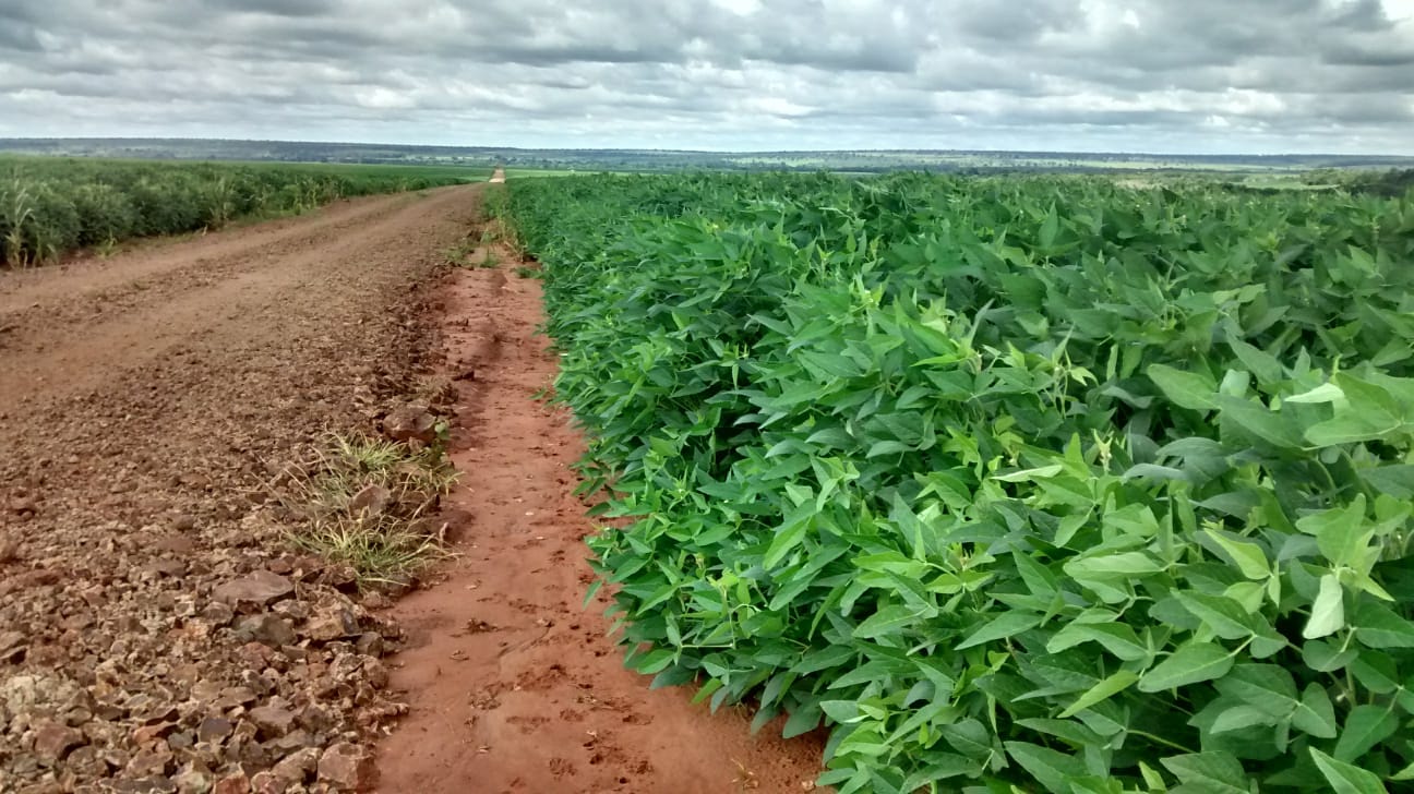 Fazenda Região Terenos/MS 