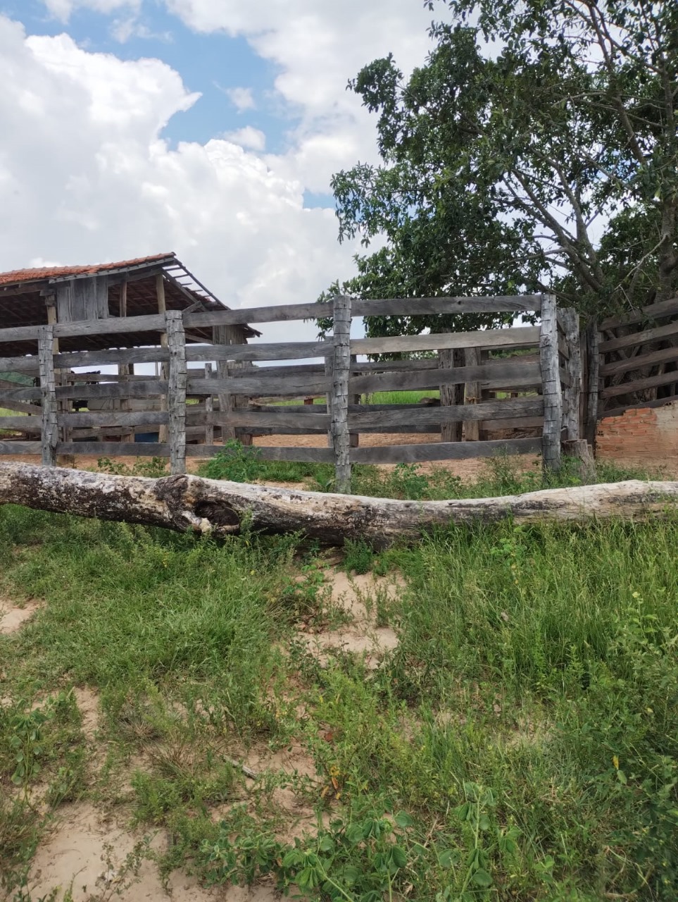 Fazenda Região Rio Negro/MS 