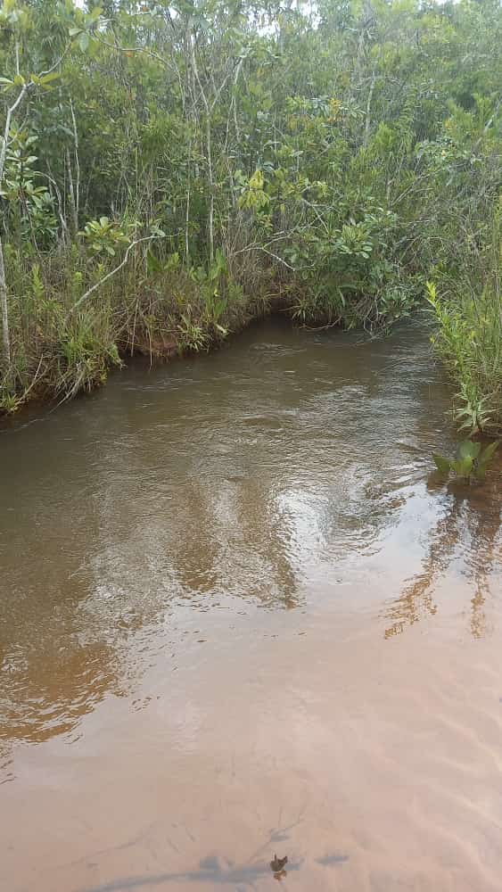 Fazenda à Região Camapuã