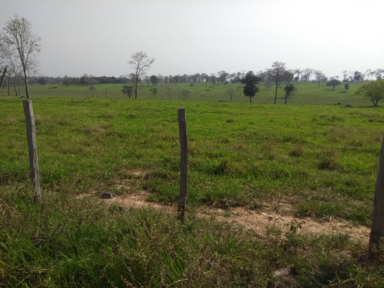 Fazenda Região de Bonito/MS