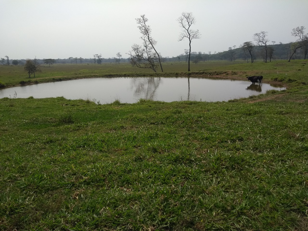 Fazenda Região de Bonito/MS