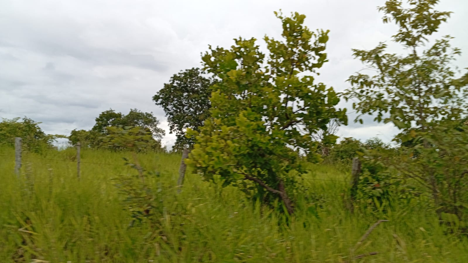 Fazenda Região de Bonito/MS