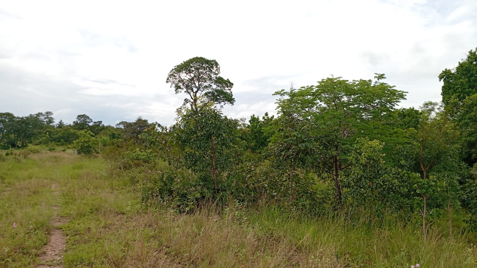 Fazenda Região de Bonito/MS