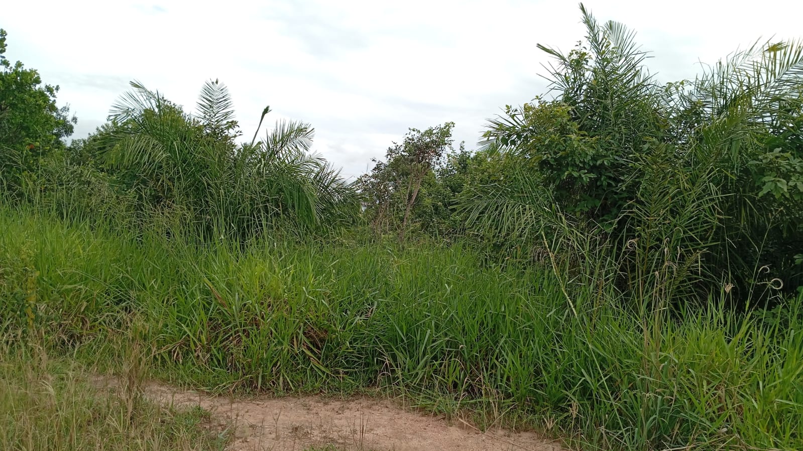 Fazenda Região de Bonito/MS