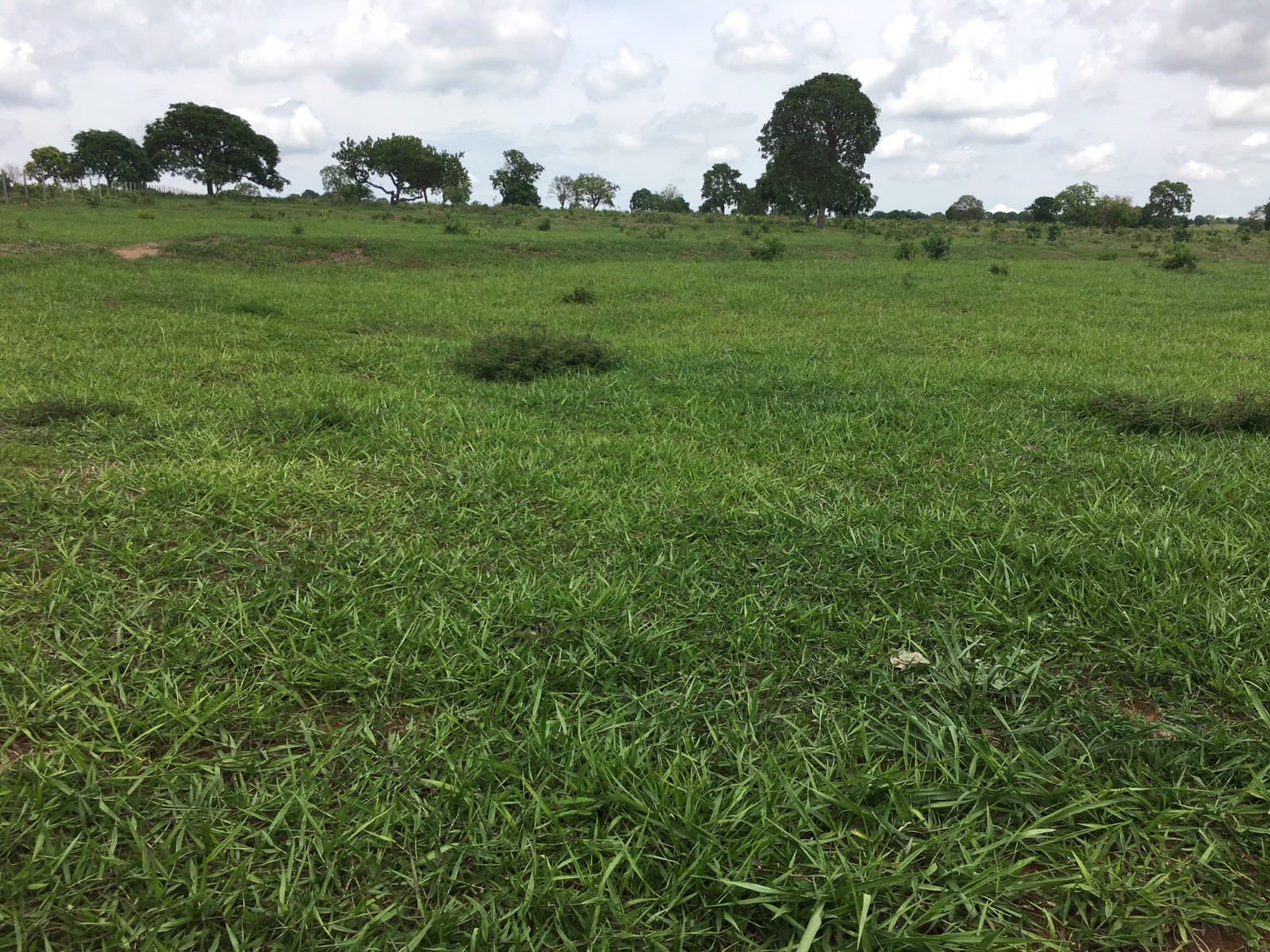 Fazenda à Venda – Região do Taboco/MS 