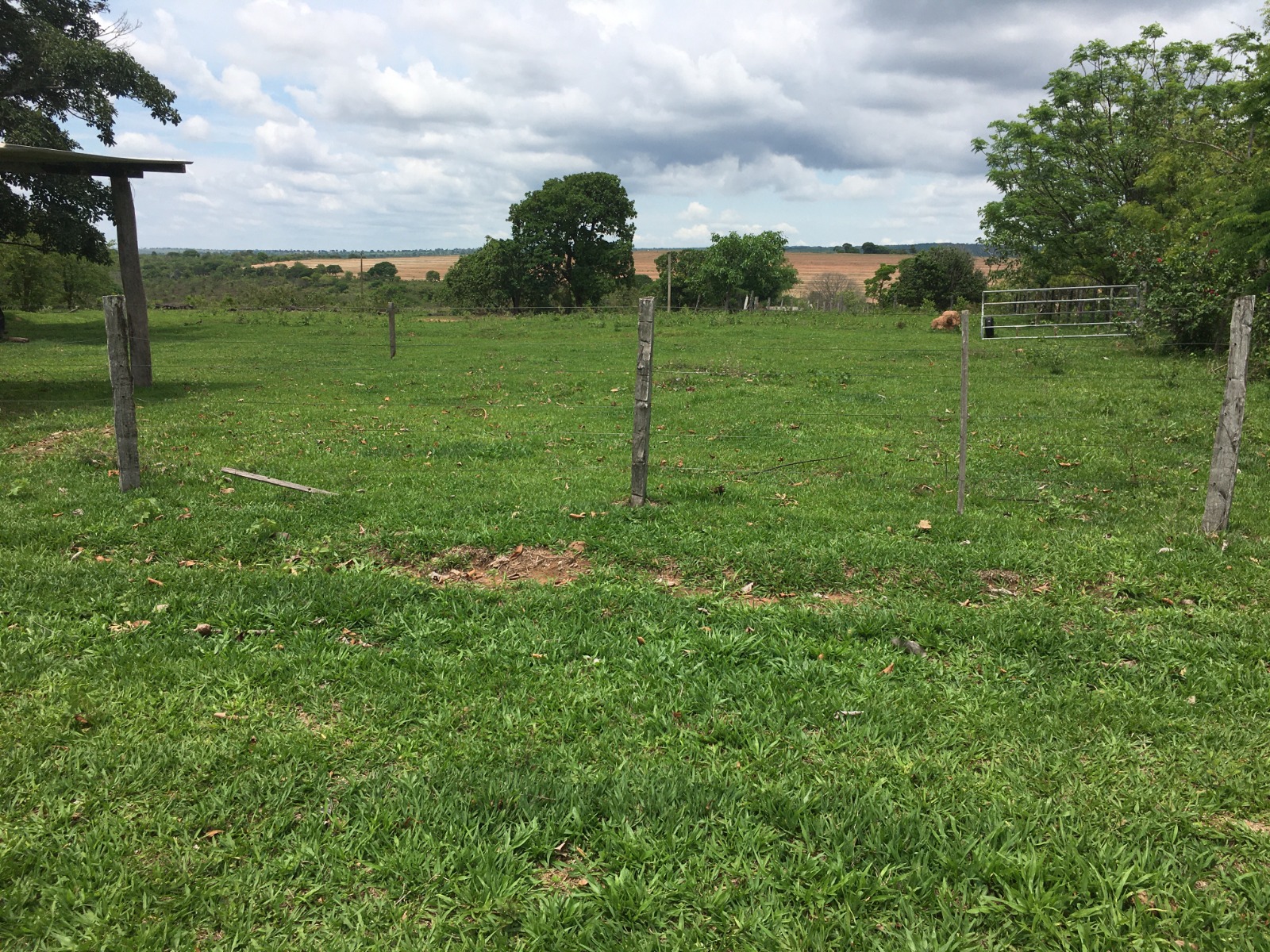 Fazenda à Venda – Região do Taboco/MS 