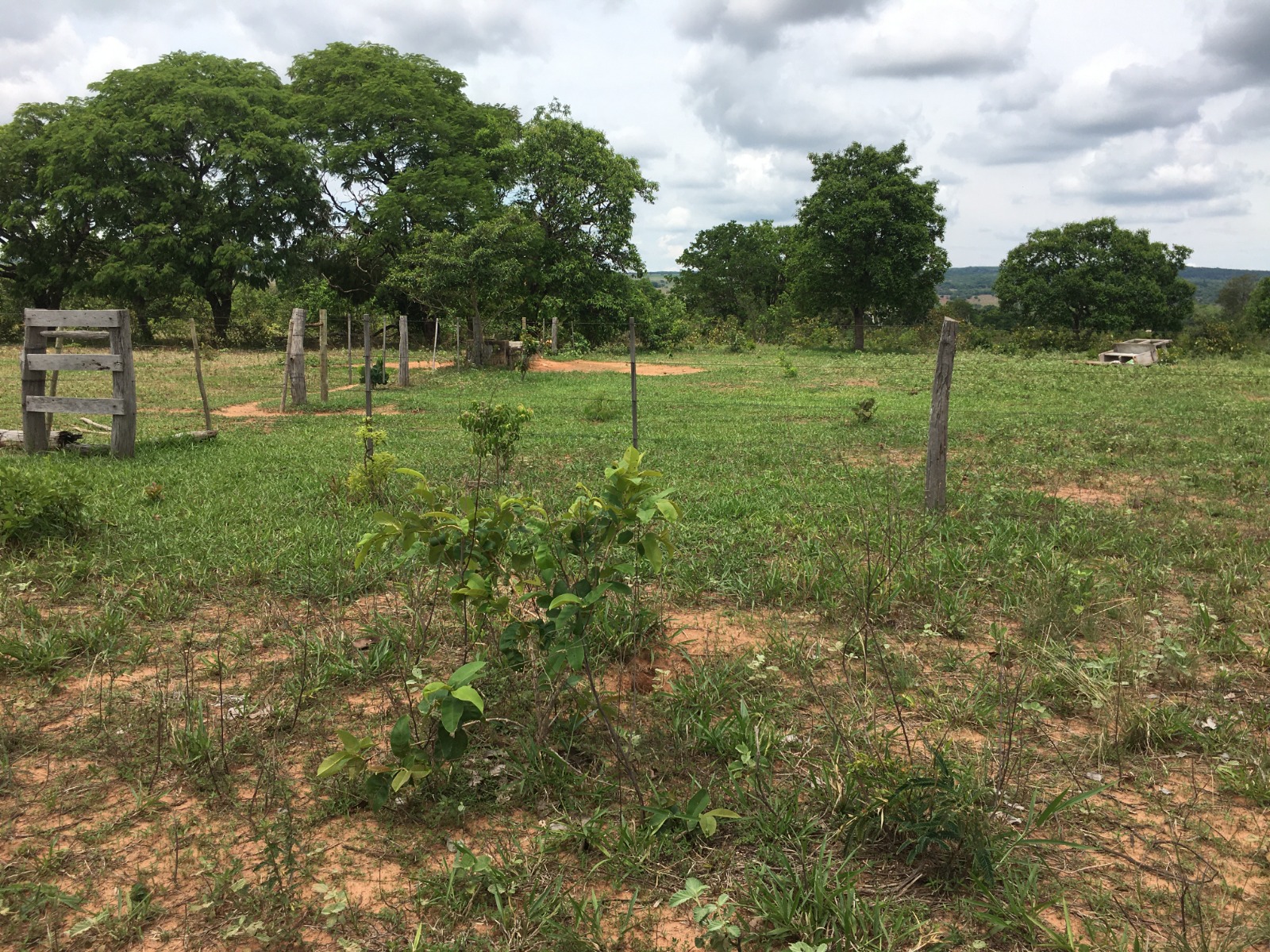 Fazenda à Venda – Região do Taboco/MS 