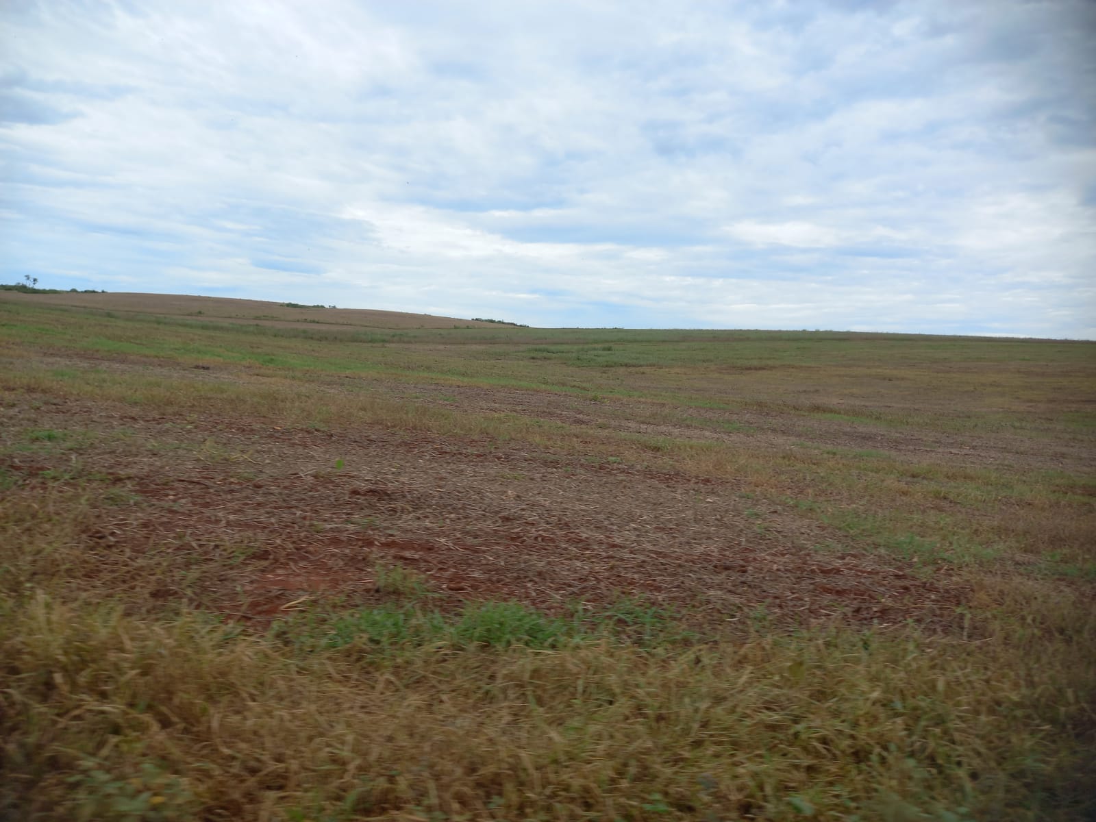 Fazenda à Venda –Região Dois Irmão do Buriti MS