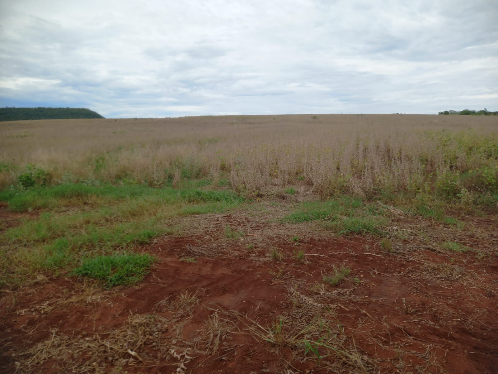 Fazenda à Venda –Região Dois Irmão do Buriti MS