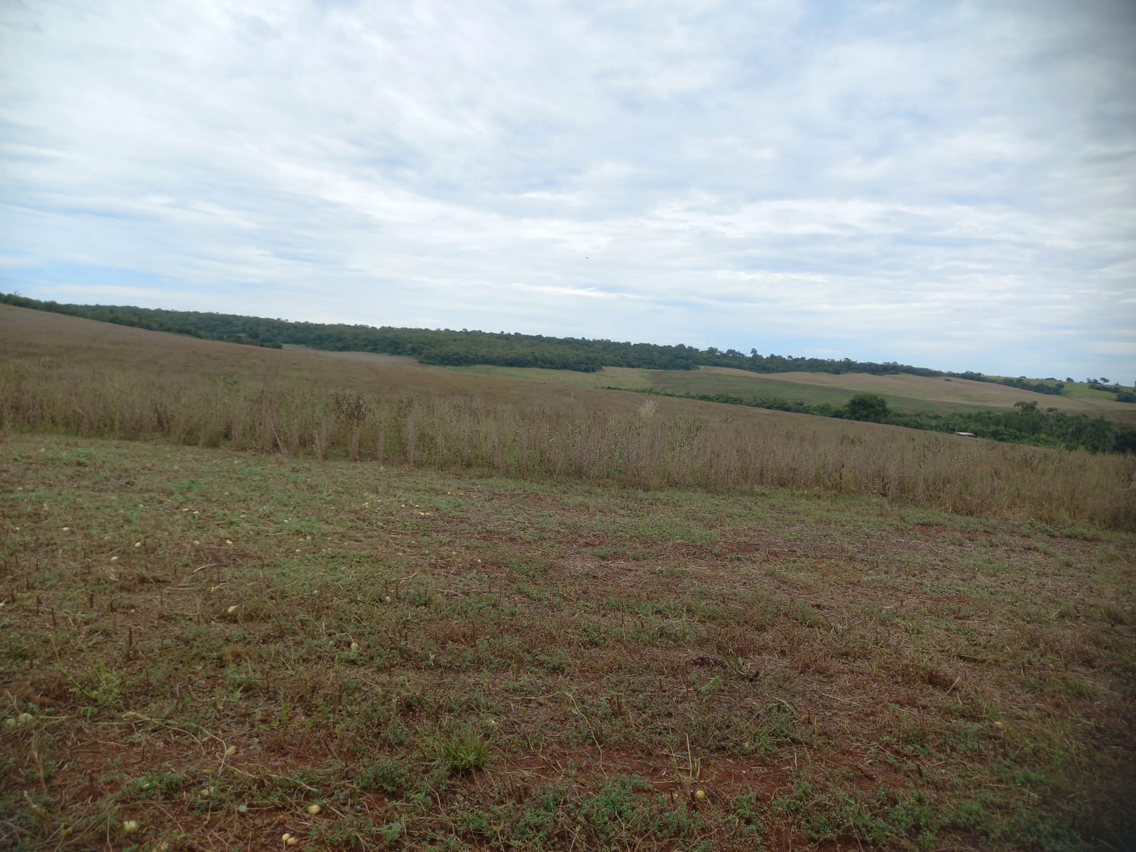 Fazenda à Venda –Região Dois Irmão do Buriti MS
