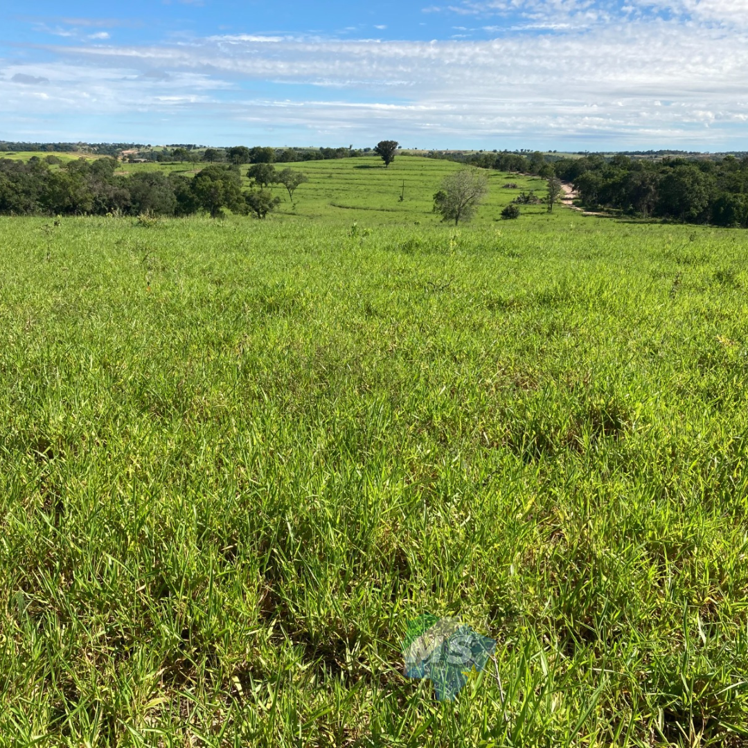 Fazenda à Venda - Região de Camapuã MS