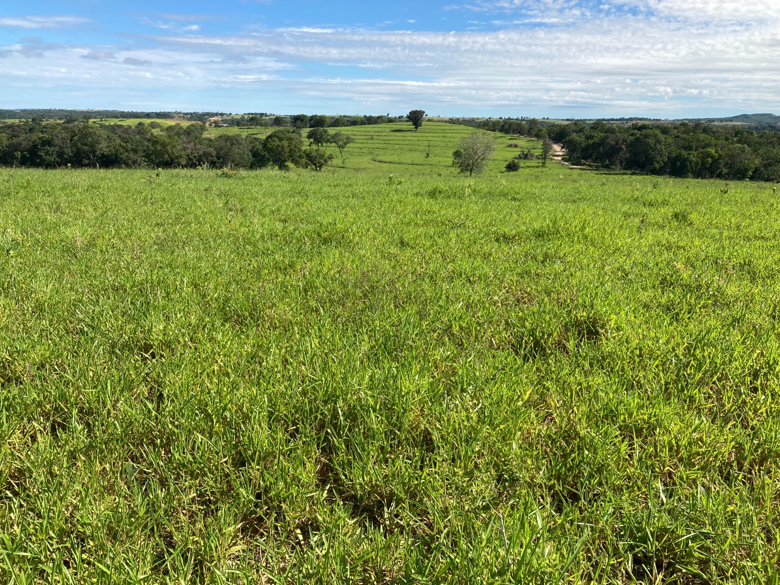 Fazenda à Venda - Região de Camapuã MS