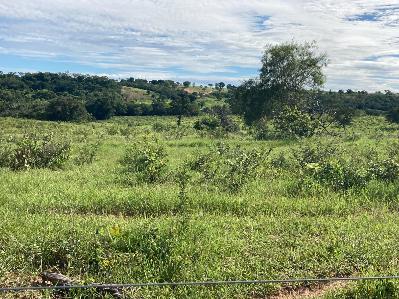 Fazenda à Venda - Região de Camapuã MS