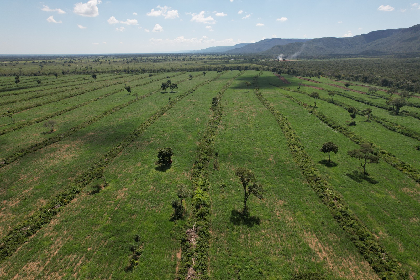 Fazenda à Venda – 5.000 Hectares entre Aquidauana e Rio Negro/MS 🌾🐂